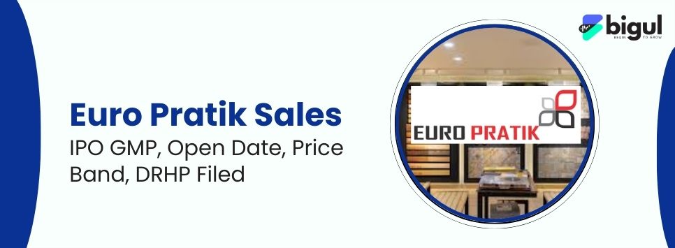 Euro Pratik Sales IPO